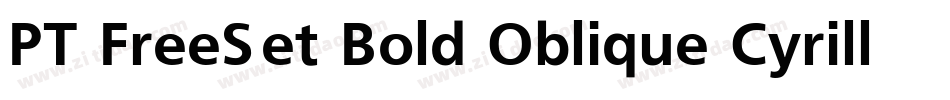 PT FreeSet Bold Oblique Cyrillic字体转换